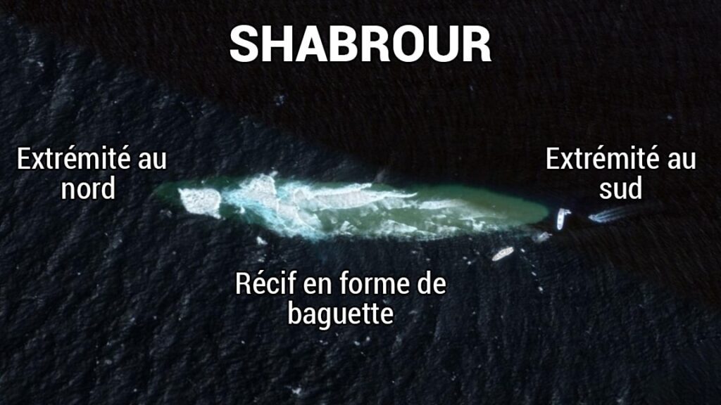 egypte plongee : Shabrour